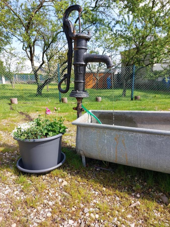 Gite Au Pommier Fleuri Et Son "Appart" Independant Drusenheim 外观 照片
