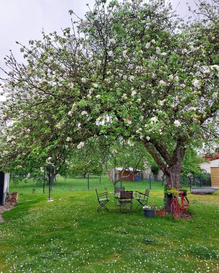 Gite Au Pommier Fleuri Et Son "Appart" Independant Drusenheim 外观 照片