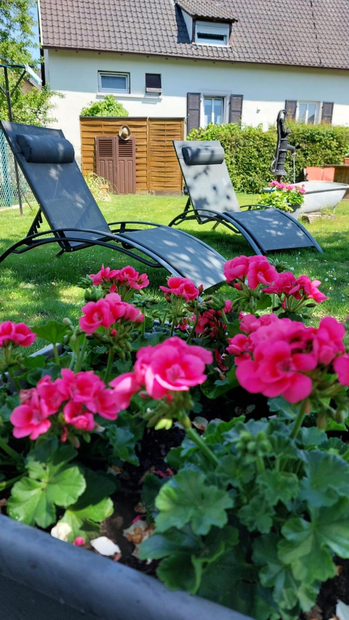 Gite Au Pommier Fleuri Et Son "Appart" Independant Drusenheim 外观 照片
