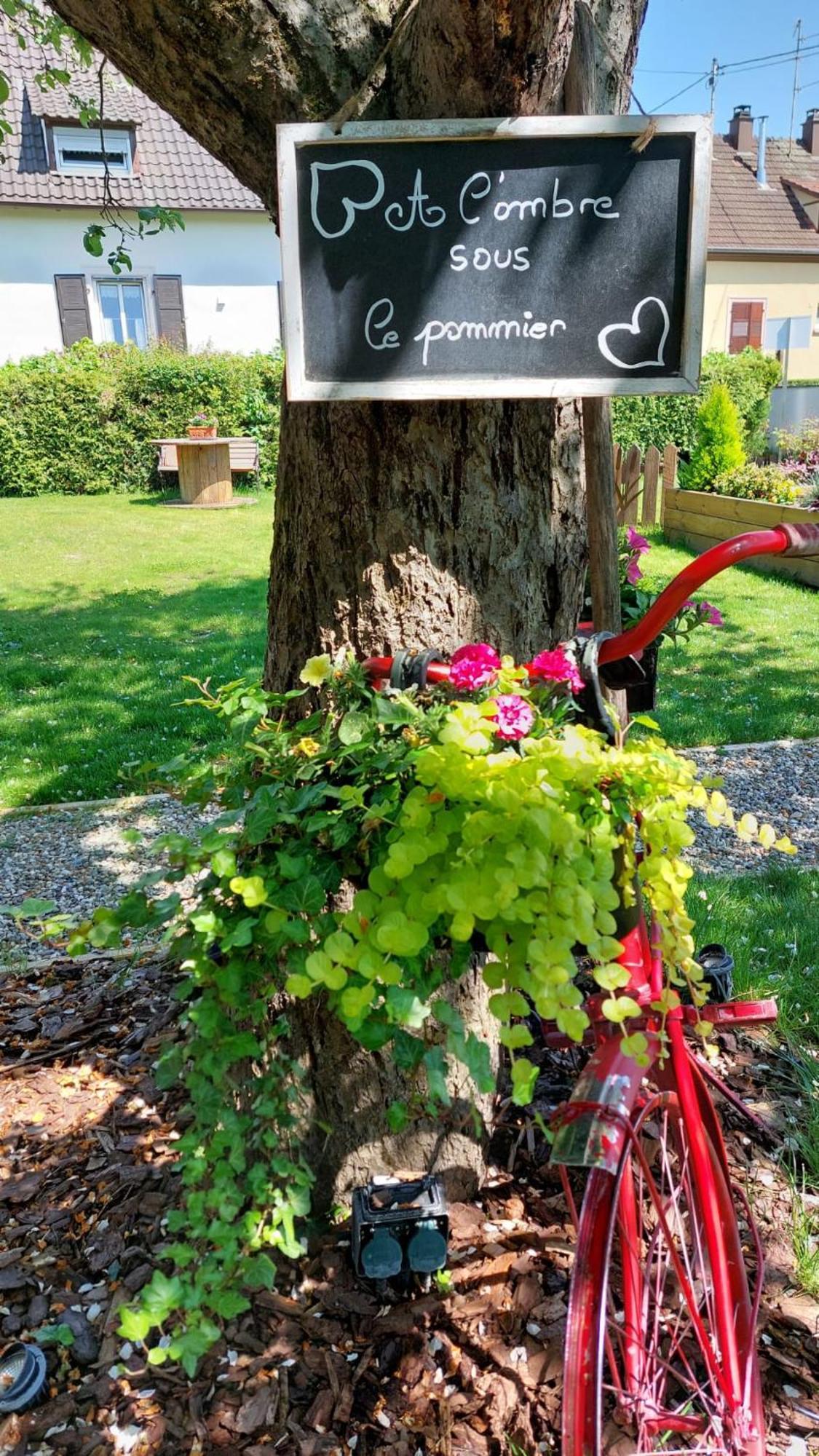 Gite Au Pommier Fleuri Et Son "Appart" Independant Drusenheim 外观 照片